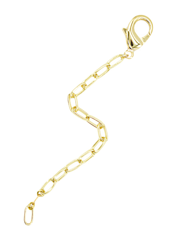 Evolve Angelina Small Lockette Bracelet Fresh)